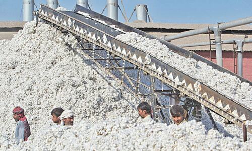 Record cotton exports likely this season
