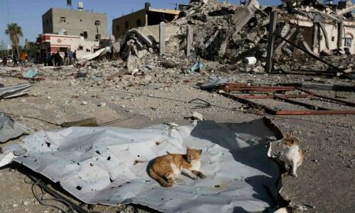 Why world leaders should not ignore Gaza at COP28 Why world leaders should not ignore Gaza at COP28