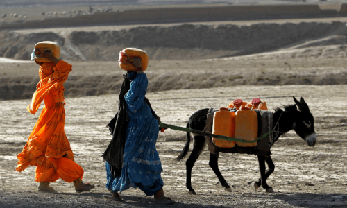 Afghanistan excluded from COP28 as climate impacts hit home Afghanistan excluded from COP28 as climate impacts hit home