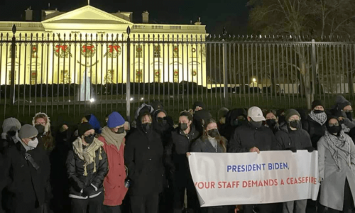 Biden staffers demonstrate outside White House for Gaza ceasefire