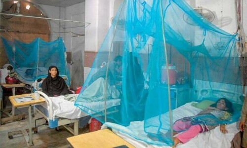Year&rsquo;s 0.5m malaria cases in Sindh show govt failure to fight invading mosquitoes