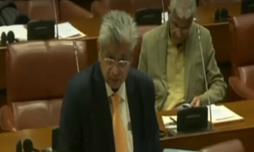 Outcry in Senate over caretakers&rsquo; move to legislate