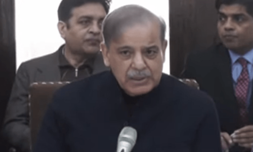 نواز شریف چوتھی بار بھی وزیراعظم بنیں گے، شہباز شریف