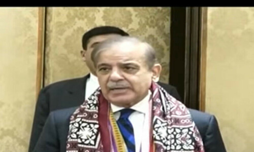 جس ملک میں سیاسی استحکام نہ ہو، وہاں معاشی استحام نہیں آتا، شہباز شریف
