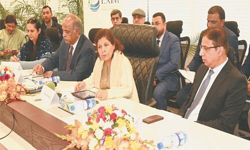 Exim Bank begins journey to foster exports, says Shamshad Akhtar