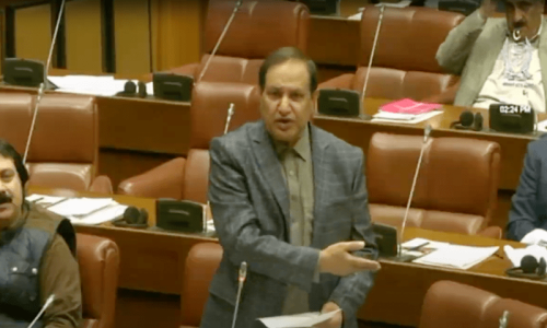 انتخابات ملتوی کرنے کی قرارداد سینیٹ میں کثرت رائے سے منظور