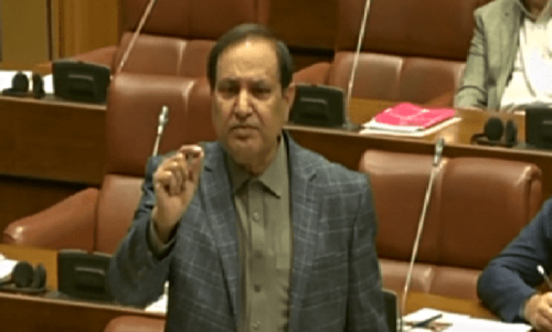 &lsquo;Lone wolf&rsquo; Senate move to delay polls raises hackles