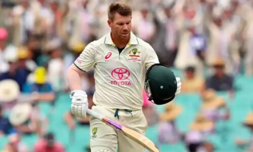 &lsquo;Dream come true&rsquo; end to career for swashbuckling opener David Warner
