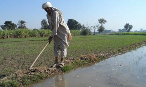 Balochistan CM Domki to seek centre&rsquo;s help for irrigation projects