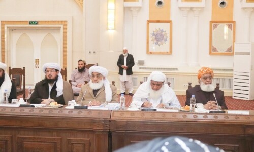 Afghan PM meets JUI-F&rsquo;s Fazlur Rehman, says Kabul &lsquo;does not intend to harm Pakistan&rsquo;