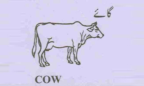 الیکشن کمیشن نے بی اے پی کا &rsquo;گائے&lsquo; کا نشان بحال کردیا