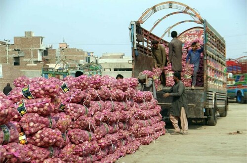 Govt raises onion MEP  to $1,200  per tonne