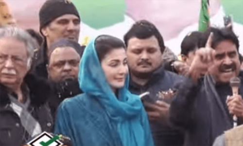 مسلم لیگ (ن) فتح یاب ہو کر عوام کی خدمت کیلئے دن رات ایک کردے گی، مریم نواز