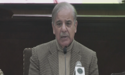 چھ سے سات سال کی تباہی ایک یا دو سال میں ختم نہیں ہو گی، شہباز شریف