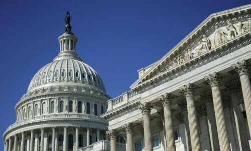 Plight of Palestinians echoes in US Senate Plight of Palestinians echoes in US Senate