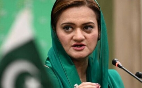 (ن) لیگ نے آئی پی پی سے سیاسی اتحاد کیا، ٹکٹیں نہیں دیں، مریم اورنگزیب