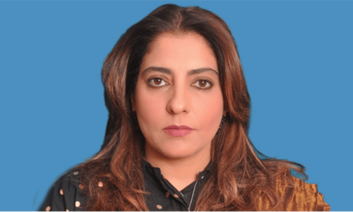 مسلم لیگ (ن) صاف میدان چاہتی ہے، کسی کو مقابلے میں نہیں دیکھنا چاہتی، سینیٹر پلوشہ خان