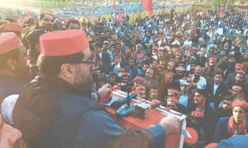 ANP&rsquo;s ray of hope and the shadow of legacy