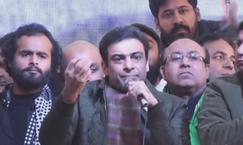 ہم نے ملک کو بحران سے بچانے کیلئے اپنی سیاست داؤ پر لگائی، حمزہ شہباز