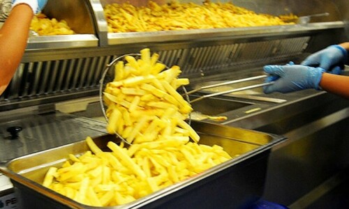 Need for policies stressed; experts call obesity major health issue Need for policies stressed; experts call obesity major health issue