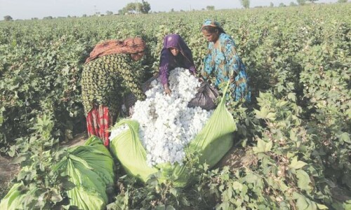 International Labour Organisation project for protection of cotton workers’ rights International Labour Organisation project for protection of cotton workers’ rights