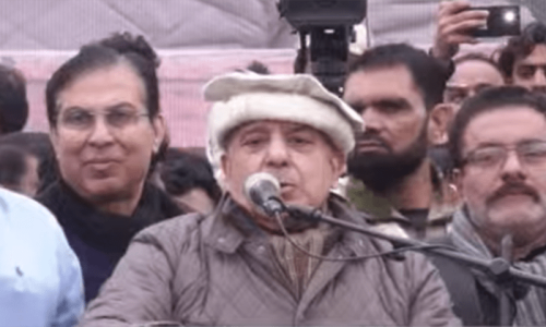 نواز شریف نے جنوبی پنجاب کی بہت خدمت کی ہے، شہبازشریف
