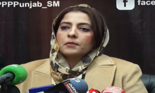 مسلم لیگ (ن) ملک میں صوبائیت کے شعلے بھڑکا رہی ہے، پلوشہ خان