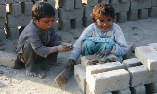 Govt survey finds 11.1 per cent of KP children working