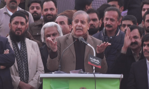Shut &lsquo;private jails&rsquo; in Sindh, Shehbaz tells Bilawal