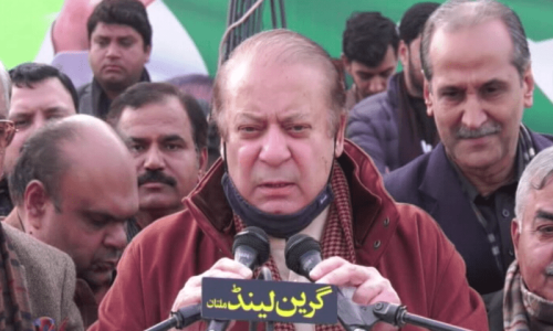 مسلم لیگ (ن) آئے گی تو مہنگائی کو مٹائے گی، نواز شریف