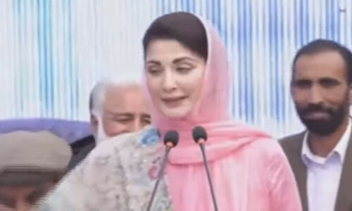 نواز شریف نے بجلی 30 فیصد سستی کرنے کا منصوبہ بنا لیا، مریم نواز