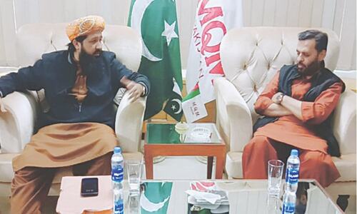 Muttahida, JUI-F agree on joint strategy against PPP in polls