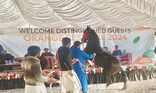 Cultural diversity showcased to foreign diplomats at orange festival