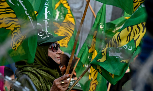 Sher versus the stealth voter