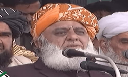 پی ٹی آئی سیاسی جماعت نہیں فتنہ ہے، ہر صورت میں اسے روکیں گے، مولانا فضل الرحمٰن