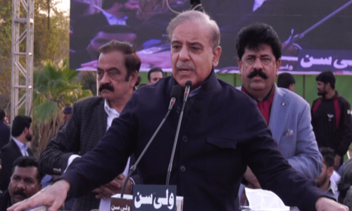 8 فروری کو ہیر پھیر پر نہیں بلکہ شیر پر مہر لگانی ہے، شہباز شریف