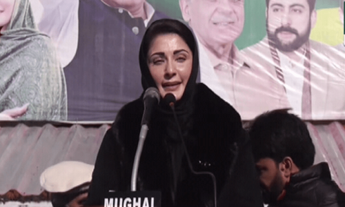 پاکستان کی طرح مری میں بھی گھس بیٹھیے آگئے تھے، انہیں باہر نکالنا ہے، مریم نواز