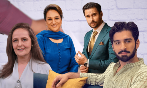 &rsquo;حالات جتنے بھی مایوس کن ہوں، ووٹ ضرور ڈالنا ہے&lsquo;، اداکاروں کی عوام سے اپیل