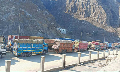 Govt asked to issue passes to Pak-Afghan truck drivers