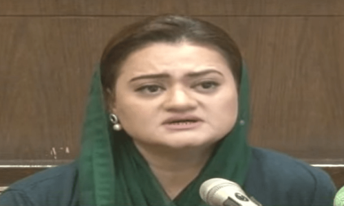 ملک میں مہنگائی اور بیروزگاری عروج پر ہے، مریم اورنگزیب