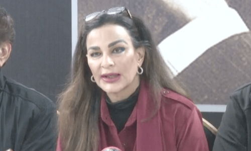 الیکشن کمیشن کسی جماعت میں تفریق نہ کرے، شیری رحمٰن