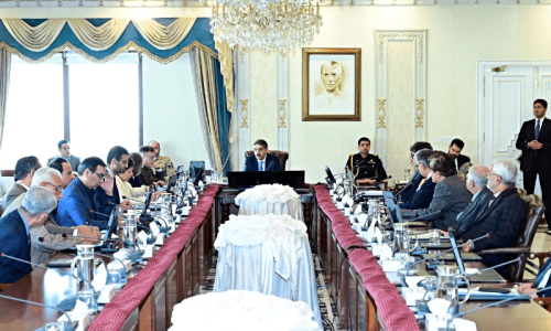 Caretakers defy ECP directive, okay PIA restructuring