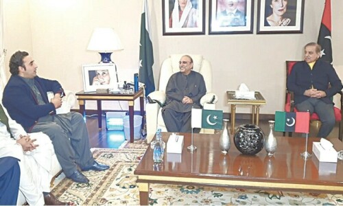 PPP seeks share in Punjab for backing ‘N’ in Centre PPP seeks share in Punjab for backing ‘N’ in Centre