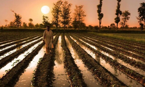 Climate hazards threaten farm production: UN