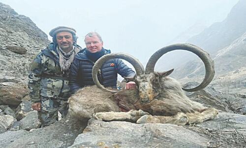 Trophy hunting of markhor fetches $181,000 in GB