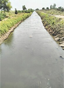 Salinity control plan reclaims 1.3m acres farm land in RYK