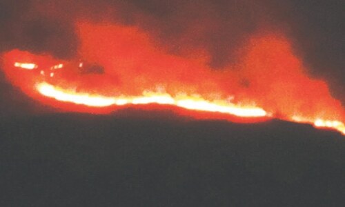 Fire damages trees in Kohat&rsquo;s Mirkheli mountains