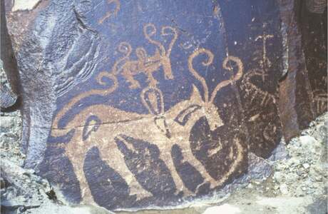 Wapda to digitise prehistoric rock carvings at Diamer Basha Dam site Wapda to digitise prehistoric rock carvings at Diamer Basha Dam site