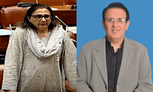 Senators spar over PTI letter linking loan with poll audit
