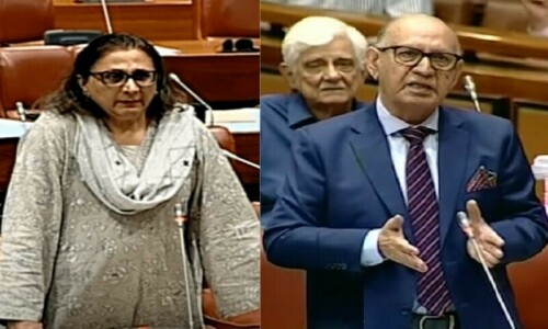 Concept of caretaker setup negates parliamentary democracy, senators say